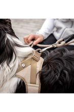 Curli Vest Harness Köpek Göğüs Tasması 49,1x55,4 cm Bej L