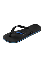 Havaianas Erkek Logo Filette Terlik 4108555398