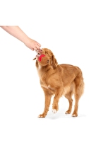 Bark - Squeaky - Sesli Köfte - Çiğneme - M