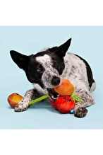BARK - HAIRLOOM - SESLİ DOMATESLER PELUŞ - S/M