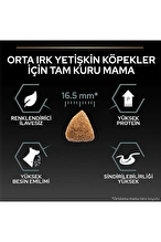 Pro Plan Orta Irk Kuzu Etli Yetişkin Köpek Maması 10 kg