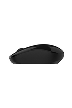 Everest SMW-973 Usb Siyah 2.4Ghz Kablosuz Mouse