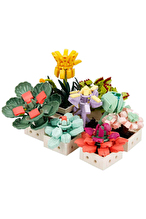 BLX Flower Set Sculent 971prc