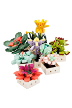 BLX Flower Set Sculent 971prc