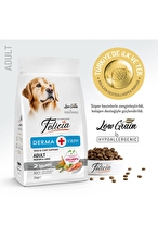 Felicia 3 Kg Kolajenli Somonlu Az Tahıllı M/Large Yetişkin Köpek Maması