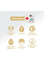 Felicia 2 Kg Kolajenli Somonlu Az Tahıllı Yetişkin Kedi Maması