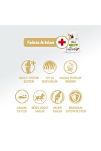 Felicia 3 Kg Kolajenli Kuzulu Az Tahıllı Small/Mini Yetişkin Köpek Maması