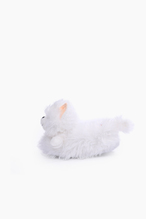 Twigy Kedi-3 Kadın Panduf CC0617A