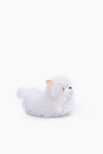 Twigy Kedi-3 Kadın Panduf CC0617A