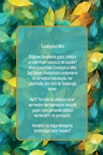Olivos Eucalyptus Mist Sıvı Sabun 500 ml