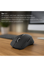 Inca Wireless + Bluetooth Led Indicator Şarjlı Mouse IWM-397T