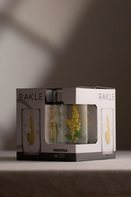 Rakle Mimosa 4'lü Meşrubat Bardağı Seti 365 cc
