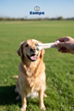 Zampa Beyaz Press Kemik Köpek Ödülü 10 lu 85-90g