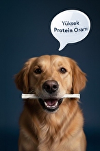 Zampa Beyaz Burgu Çubuk (Sticks) Kemik Köpek Ödülü 100 lü 5g