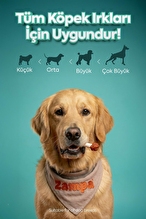Zampa Köpek Ödül Maması, Ördek Etli Dambıl Ödülü - 75g