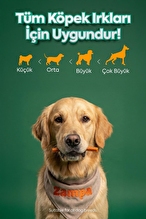 Zampa Köpek Ödül Maması, Kuzu Etli Dilimler - 75g