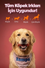 Zampa Köpek Ödül Maması, Kemik Şeklinde Dana Eti Ödülü - 75g