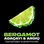 Axe Premium Aerosol Aqua Bergamot 150 ml+ 300 ml Duş Jeli