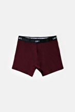 Loft Erkek Boxer LF2038182.BRD