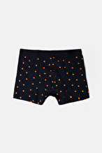 Loft Erkek Boxer LF2040051.SYH
