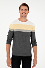 Pierre Cardin Erkek Triko 1955168