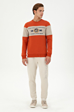 U.S. Polo Assn. Erkek Sweatshirt 2038212