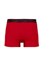 U.S. Polo Assn. Erkek 3'lü Boxer 3BDZKGL24K.VR030