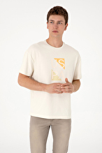 U.S. Polo Assn. Erkek Tişört 2104679