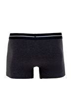 U.S. Polo Assn. Erkek Boxer 3BMDLLL25.VR033