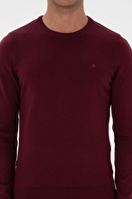 Pierre Cardin Erkek Triko 2320029