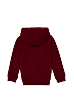 U.S. Polo Assn. Erkek Çocuk Sweatshirt 2235243