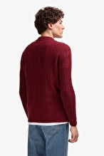 U.S.Polo Assn. Erkek Kazak 2234474