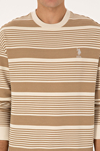 U.S.Polo Assn. Erkek Sweatshırt 2232797
