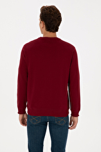 U.S.Polo Assn. Erkek Sweatshırt 2226878