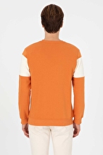 U.S.Polo Assn. Erkek Sweatshırt 2249681