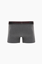 U.S. Polo Assn. Erkek 3'lü Atlet 3BDZLLLK25.VR033