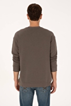 U.S.Polo Assn. Erkek Sweatshırt 2240053