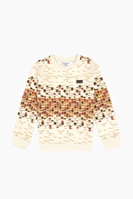U.S. Polo Assn. Erkek Çocuk Sweatshirt 2236205