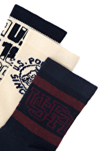 U.S. Polo Assn. Erkek Çocuk 3'lü Çorap KERPE-SK25.VR256