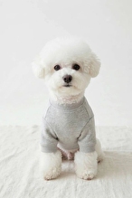 United Colors of Benetton Pet Sweatshirt Gri L
