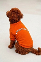 United Colors of Benetton Pet Sweatshirt Turuncu L