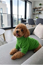 United Colors of Benetton Kedi & Köpek Kıyafeti Fermuarlı Ceket Yeşil - XXL