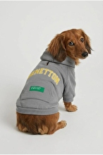 United Colors of Benetton Kapüşonlu Sweatshirt Gri M
