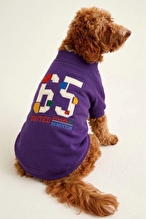 United Colors Of Benetton Kedi & Köpek Kıyafeti Sweatshirt Sarı - L