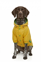 United Colors Of Benetton Pet Yağmurluk Sarı M