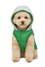 United Colors of Benetton Köpek Kıyafeti Yağmurluk Yelek Yeşil - M