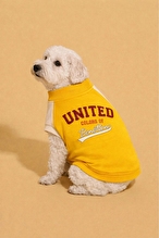 United Colors Of Benetton Kedi & Köpek Kıyafeti Sweatshirt Sarı - L