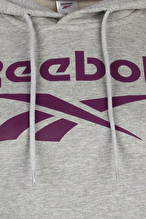 Reebok Erkek Sweatshirt RE 1304