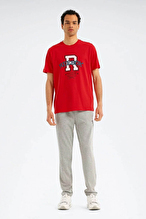 Reebok Erkek Tişört LC 6164