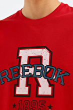 Reebok Erkek Tişört LC 6164